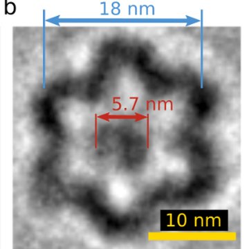 A DNA nanostructure seen with cryo-TEM